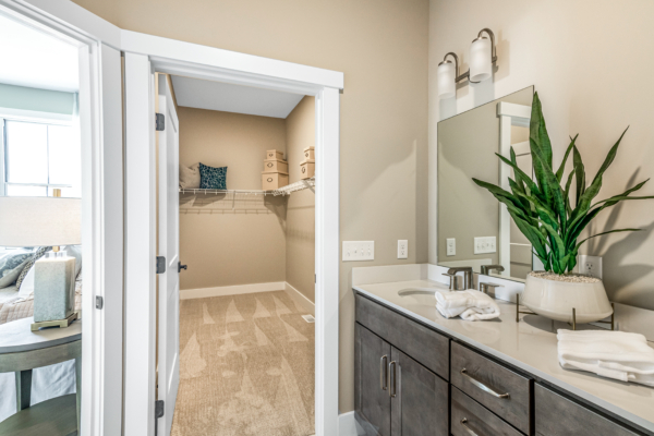 A modern bathroom with a gray vanity and a large houseplant, connected to a walk-in closet with shelves and storage boxes.