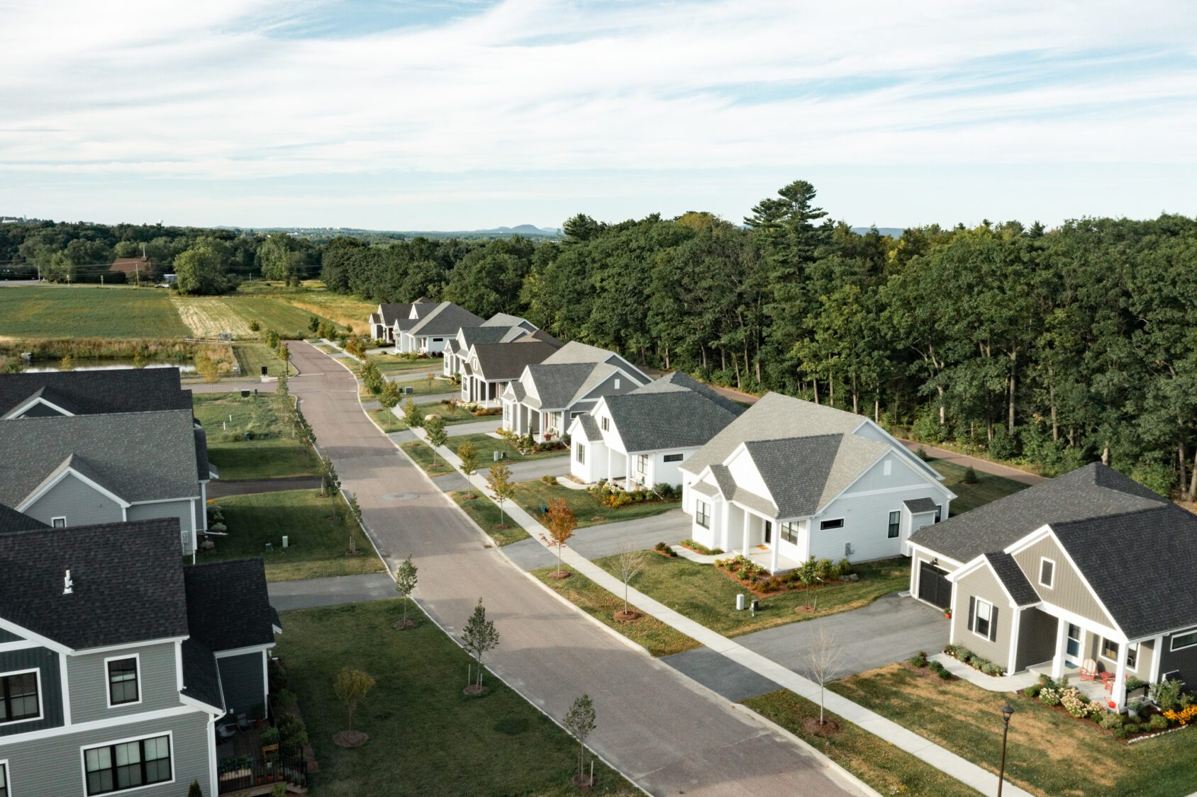 Aerial view of Spear Meadows, a suburban neighborhood with modern houses, green lawns, and a tree-lined street.