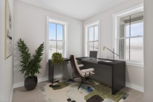 Minimalist Castlerock home office with black desk, swivel chair, windows, plants, and a rug on light carpet.